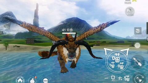 穷奇最新爆料视频大全,揭秘娱乐圈幕后真相